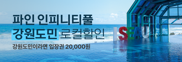 파인 인피니티풀 강원도민 로컬 할인