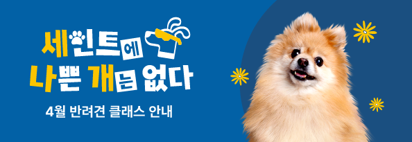 세인트에 나쁜 개는 없다