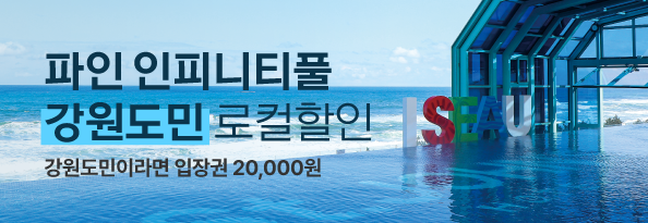 파인 인피니티풀 강원도민 로컬 할인
