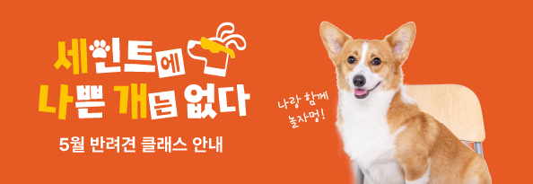 세인트에 나쁜 개는 없다