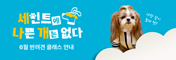 세인트에 나쁜 개는 없다
