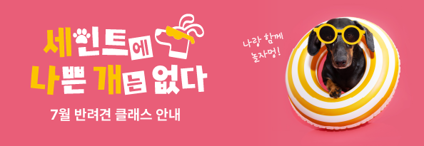 세인트에 나쁜 개는 없다