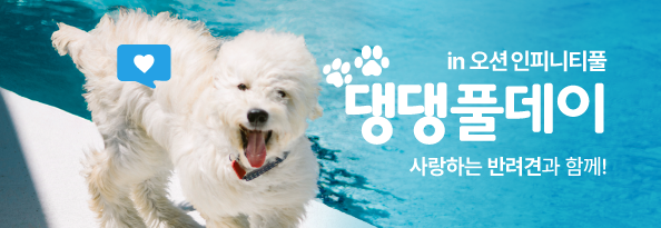 오션 댕댕풀데이
