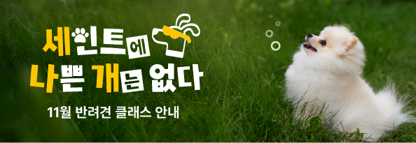 세인트에 나쁜 개는 없다