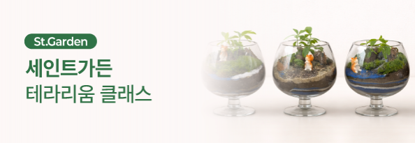 테라리움 클래스