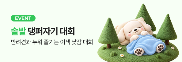 솔밭 댕퍼자기 대회